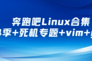 奔跑吧Linux社区合集 第1+2+3+4季+死机专题+RISC-V高级+arm64高级+vim+git