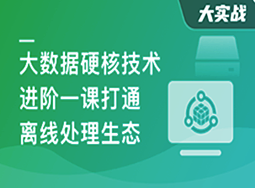 大数据硬核技能进阶：Spark3实战智能物业运营系统(完结)