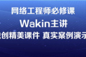 wakin谢斌华为数通全套HCIP HCIE HCIA